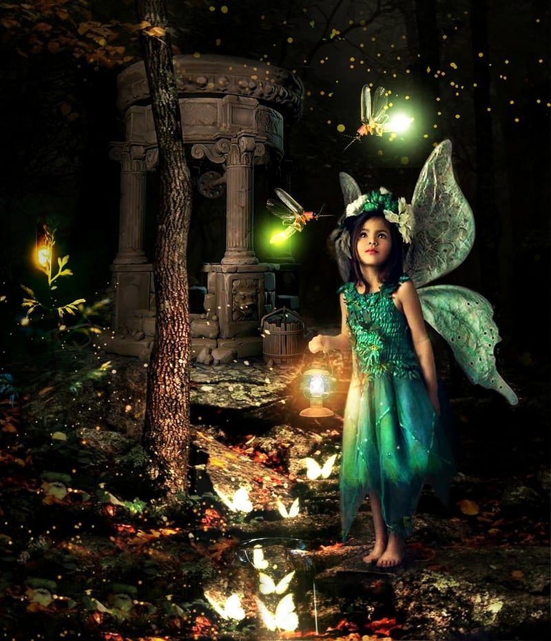 Fairy Wings